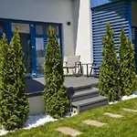 Deja Blue - Adult Only Sfantu Gheorghe (Tulcea)